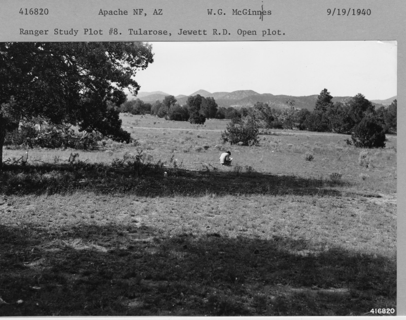 Ranger Study Plot