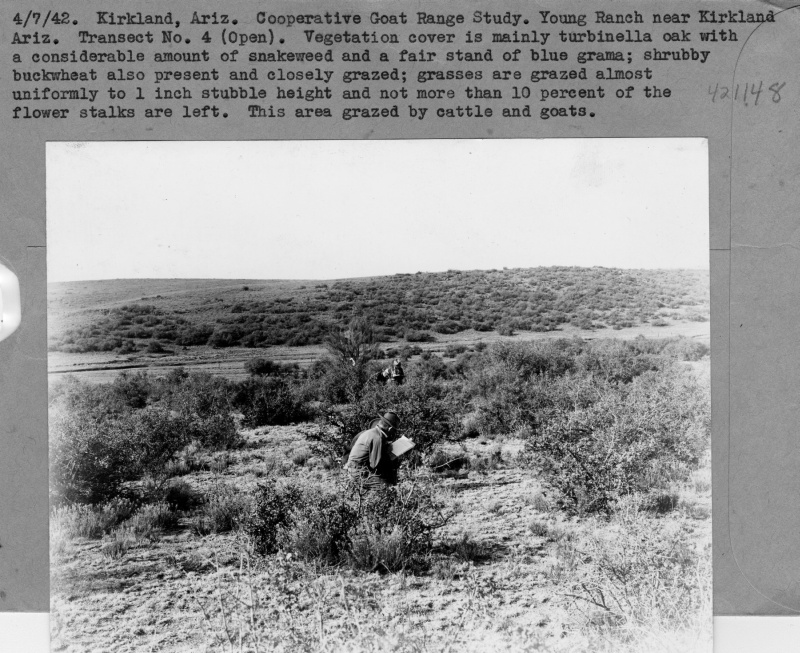 Cooperative Goat Range Study