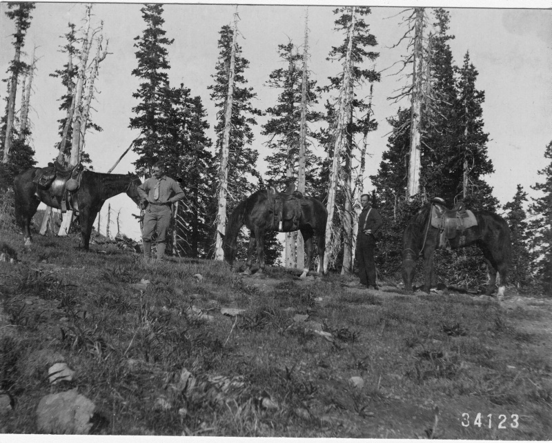 USFS personnel on San Francisco Peaks