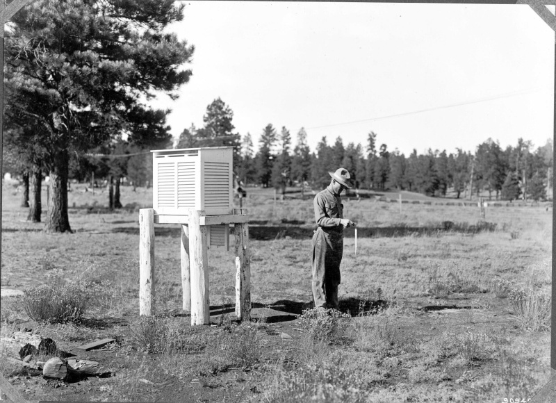 Met. Station #1, on edge of forest.