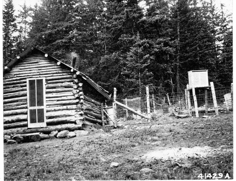Shelter cabin on San Francisco Peaks