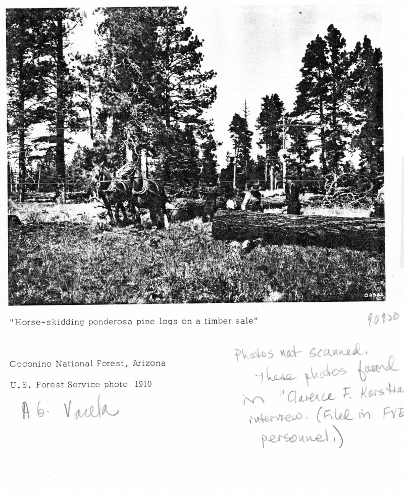 Timber sale