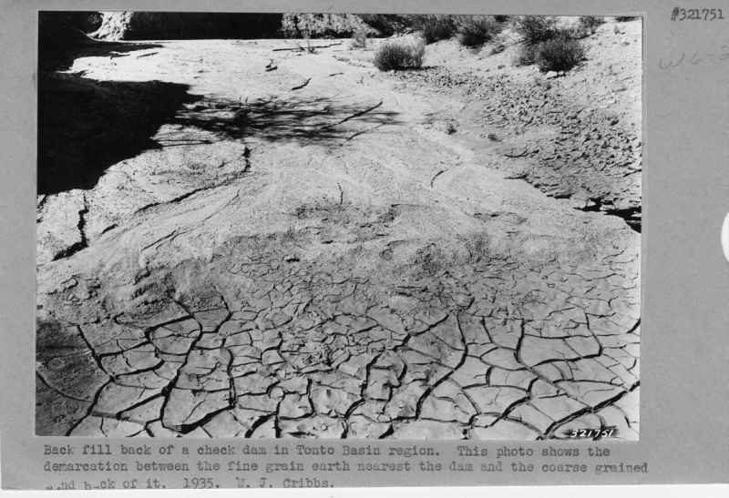 Back fill of check dam