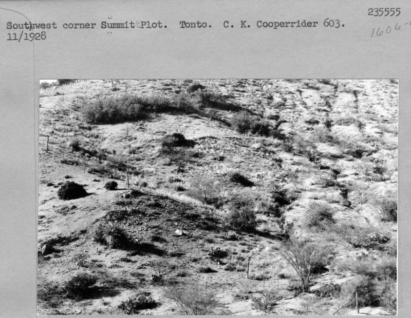 Summit plot
