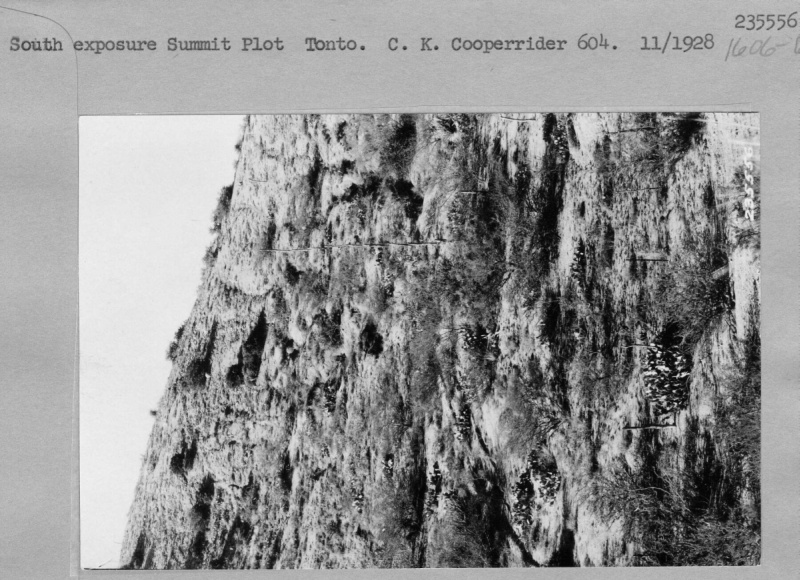 Summit plot