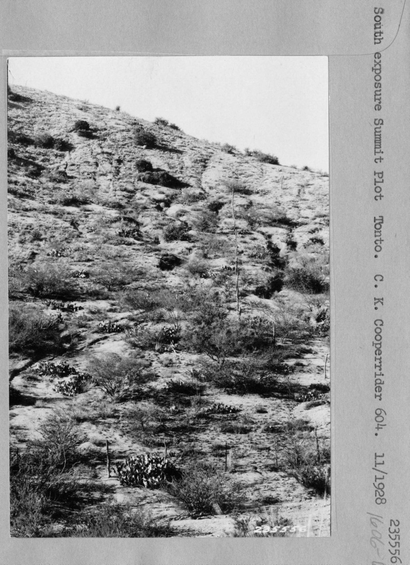 Summit plot