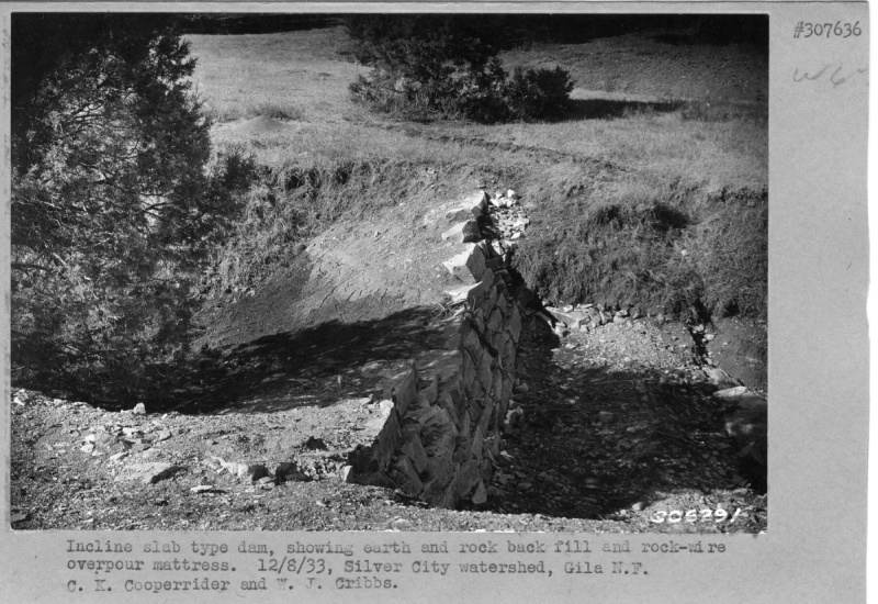 Slab type check dam