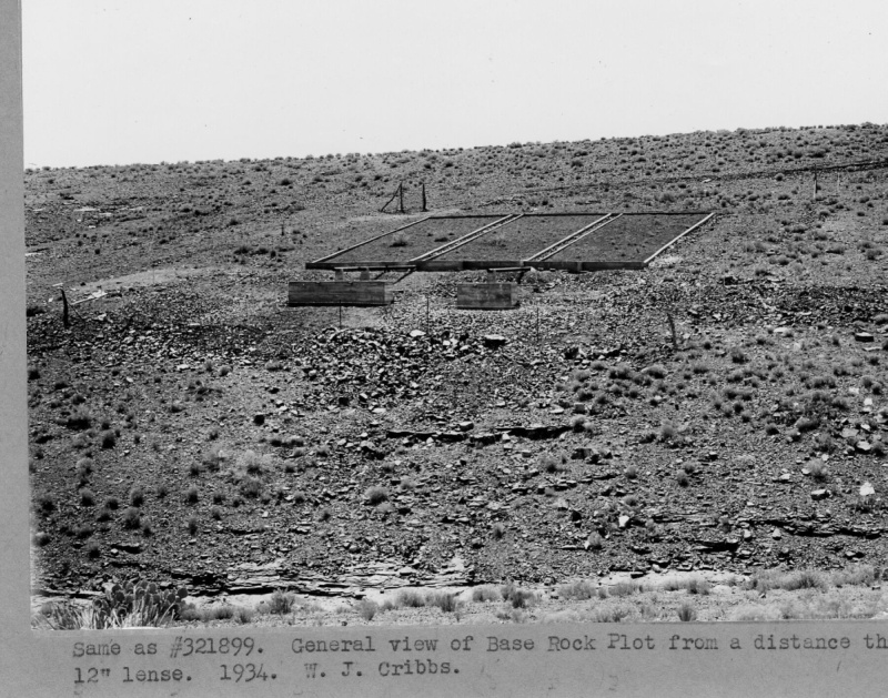 Base rock plot