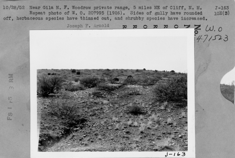 Woodrow Range
