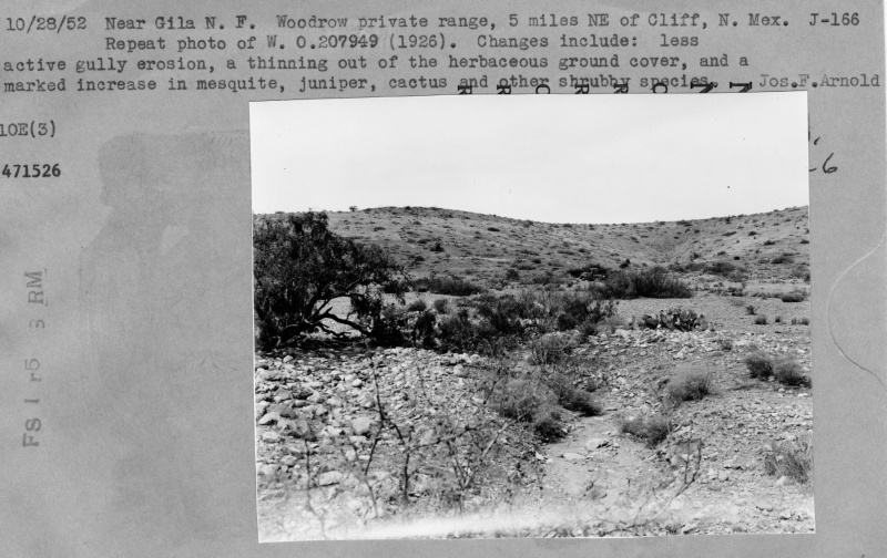 Woodrow Range