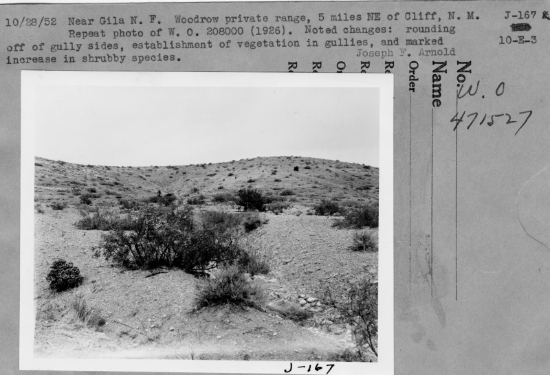 Woodrow Range