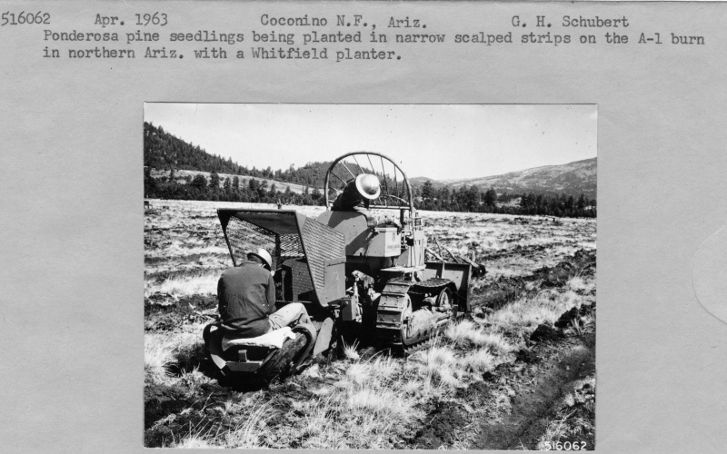 Planting