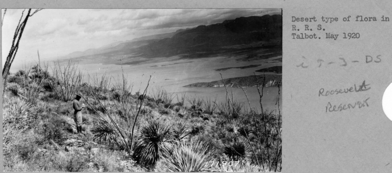 Watershed Research