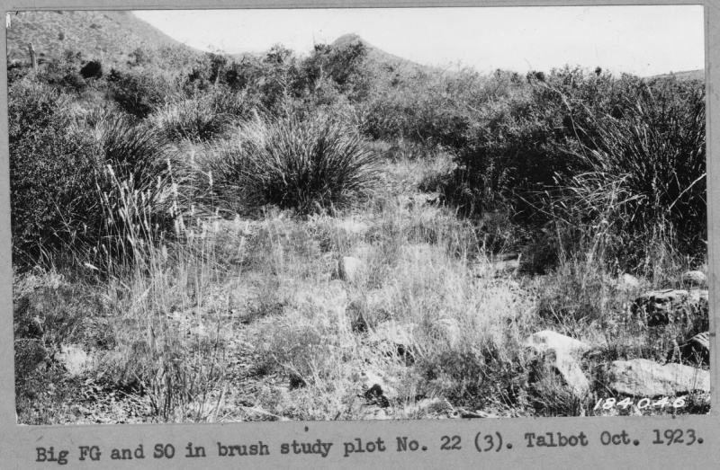 Range Study
