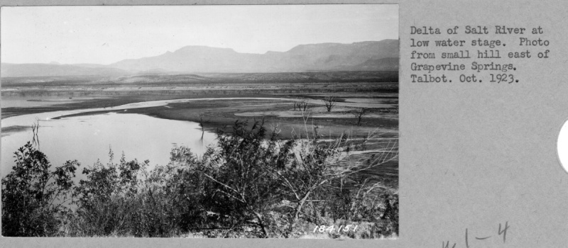 Watershed Project