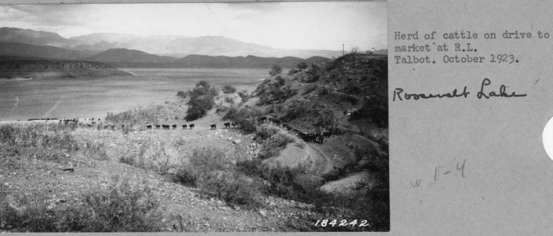 Range Study