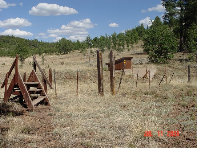 Watershed 11 stream gauging station was reinstated in the summer of 2006. 