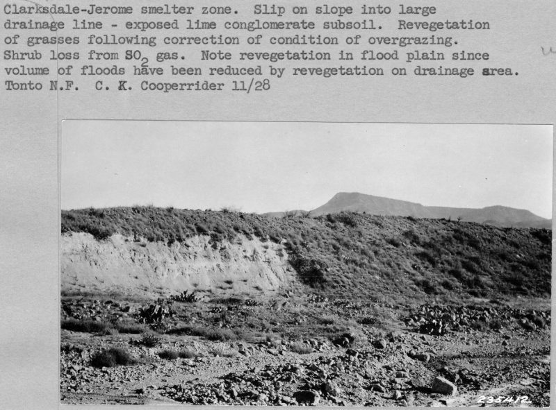 Watershed Project