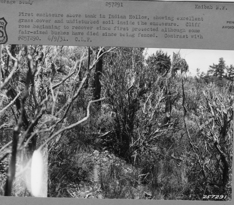 Fence Enclosure on range