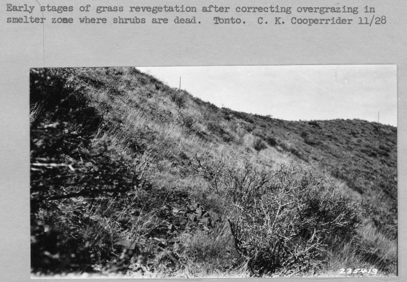 Watershed Project