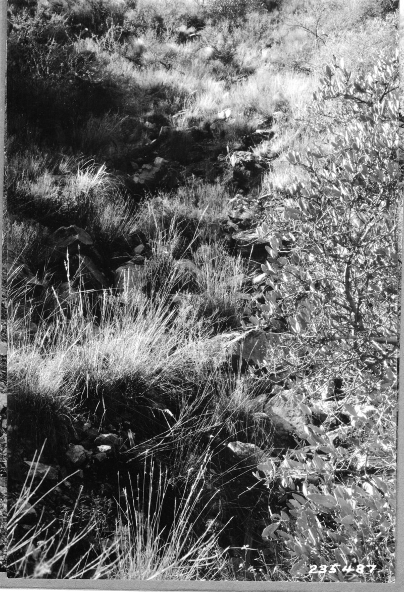 Range Study