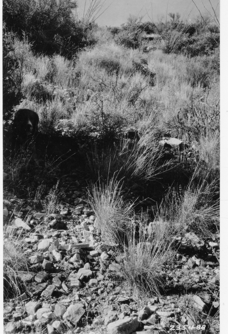 Range Study