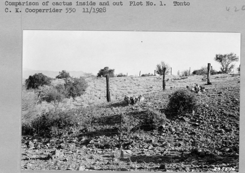 Range Study Range Study