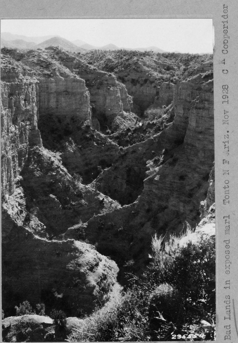 Range Study