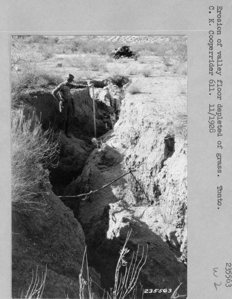 Range Study