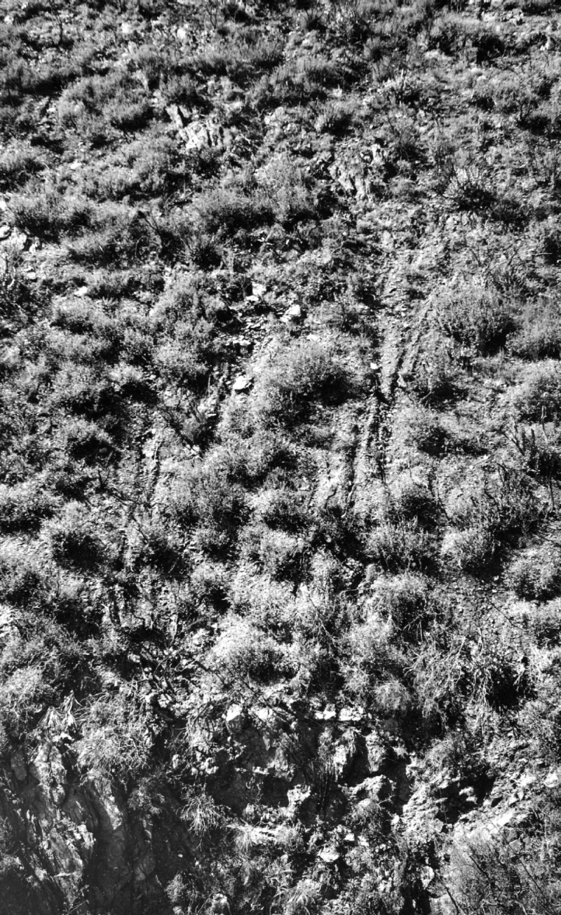Range Study