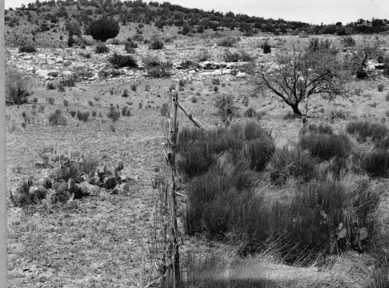 Range Study