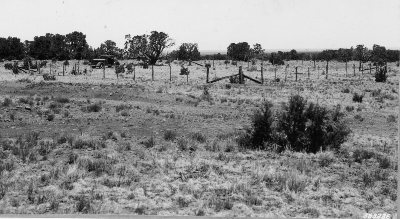 Range Study