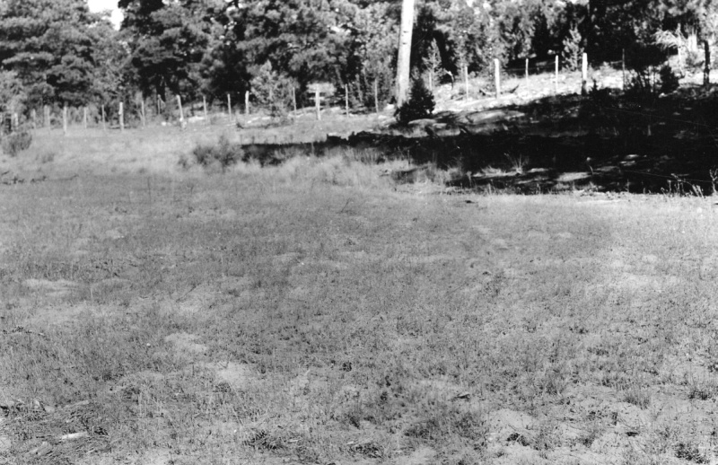 Range Study