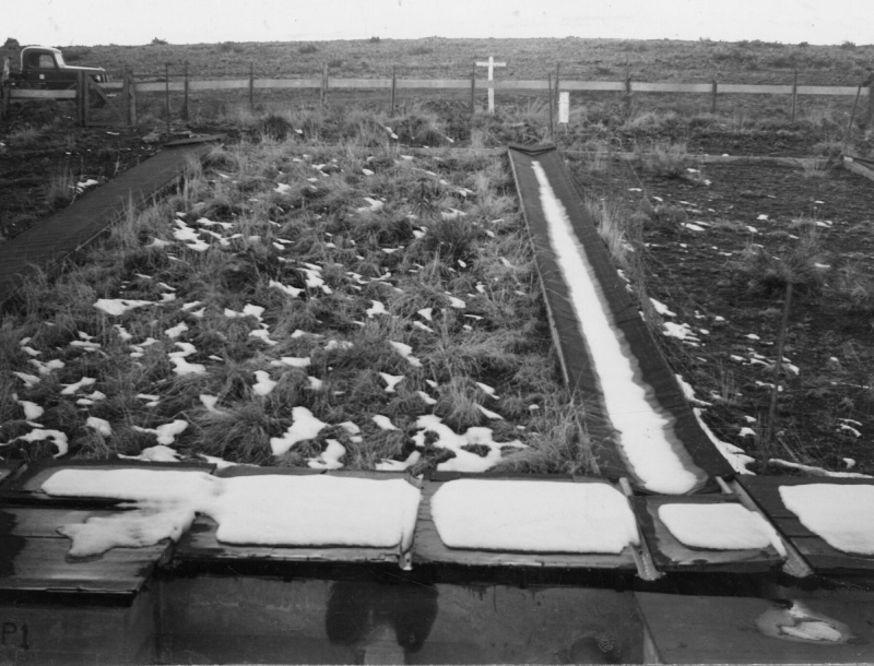 Watershed Project
