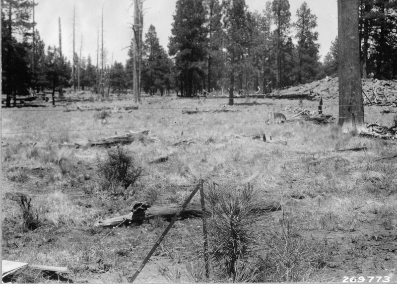 Cooperrider-Cassidy Study