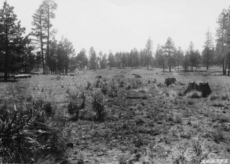 Demonstration area