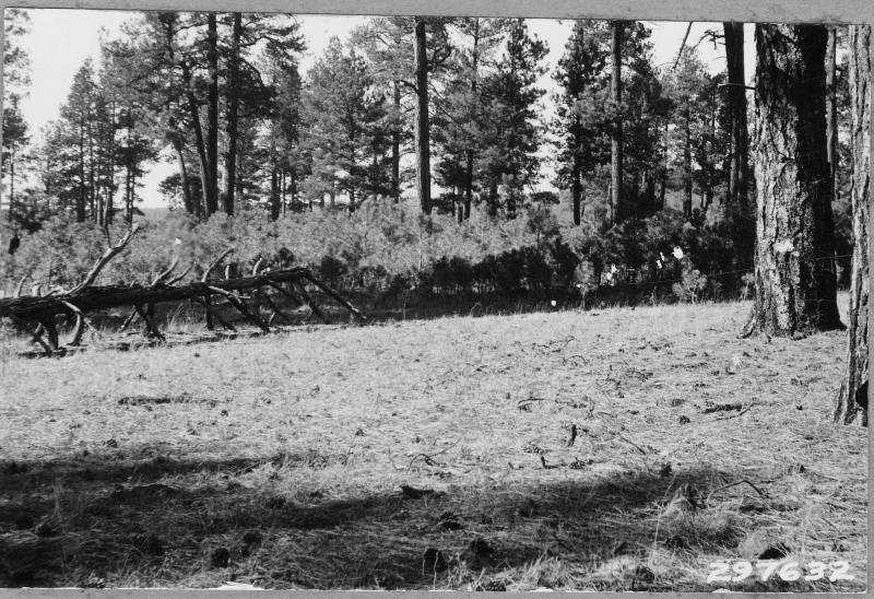 Reproduction killed out by grazing