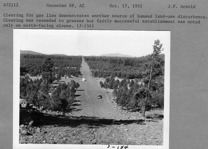 land use disturbance