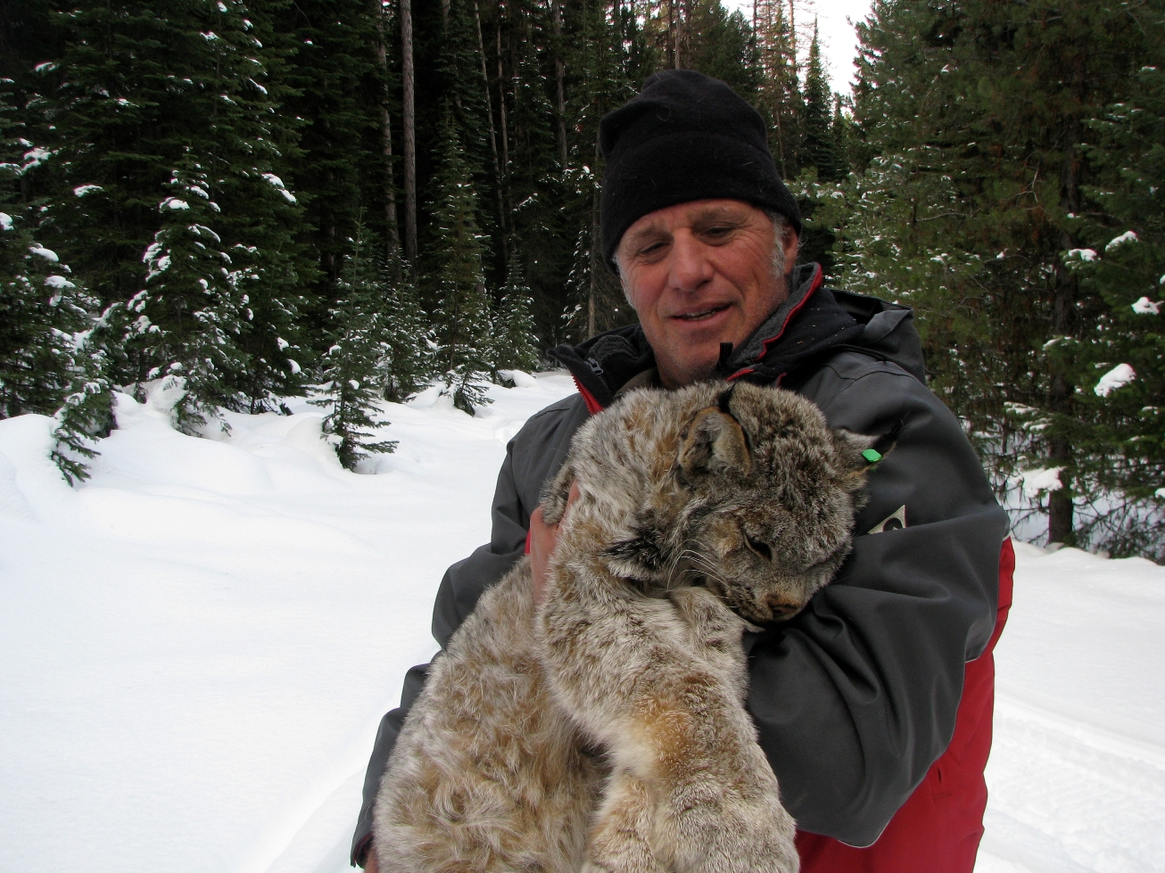 Bill Block with Lynx