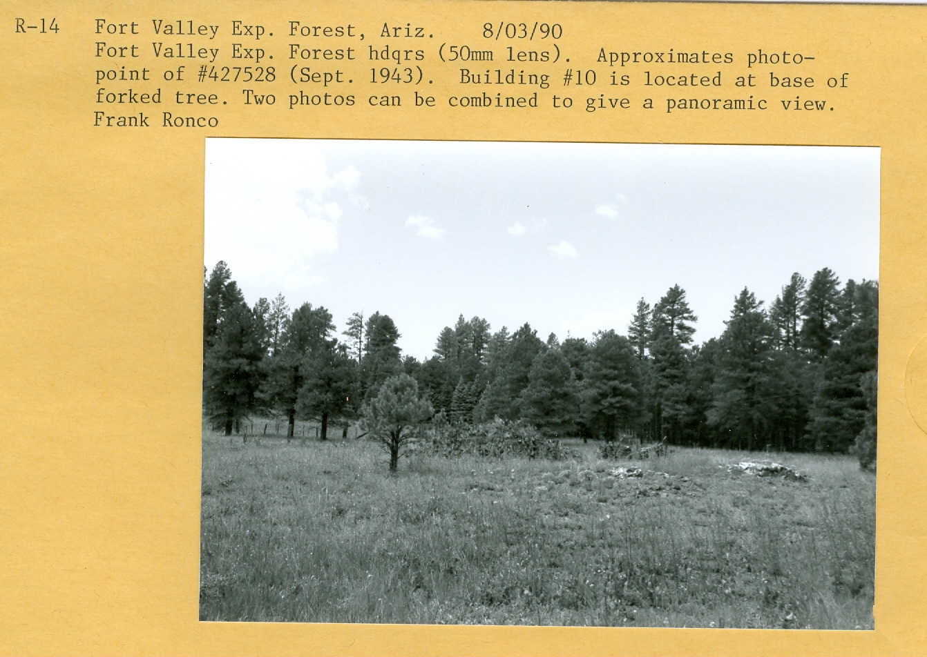 Approximates photo-point of #427528 (Sept. 1943). Building #10 is located at base of forked tree. Two photos can be combined to give a panoramic view. 