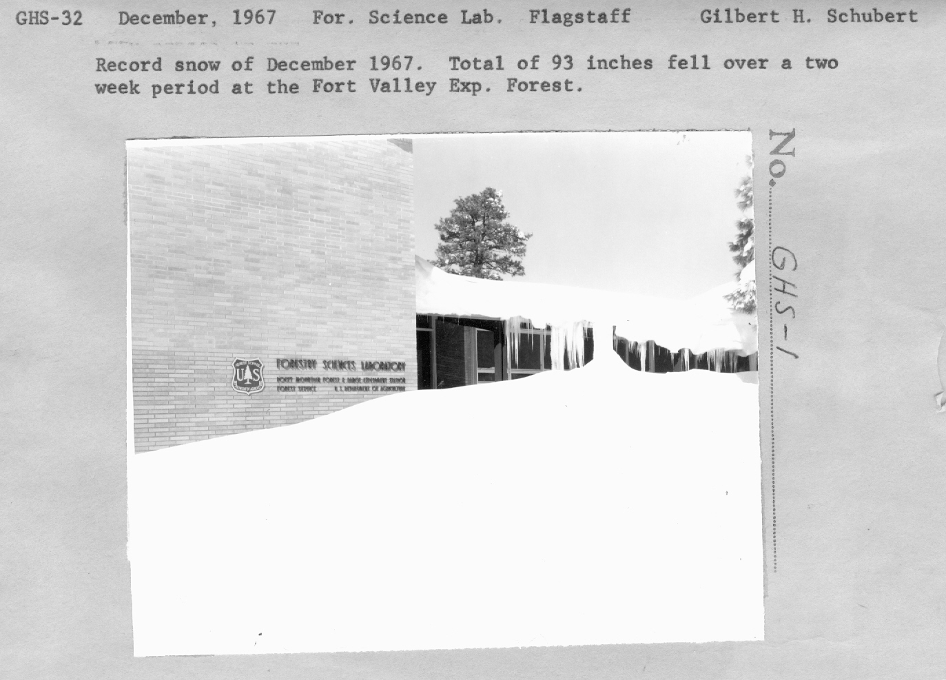 Record snow of December 1967. Total of 93 inches fell over a two week period at the Fort Valley Exp. Forest.