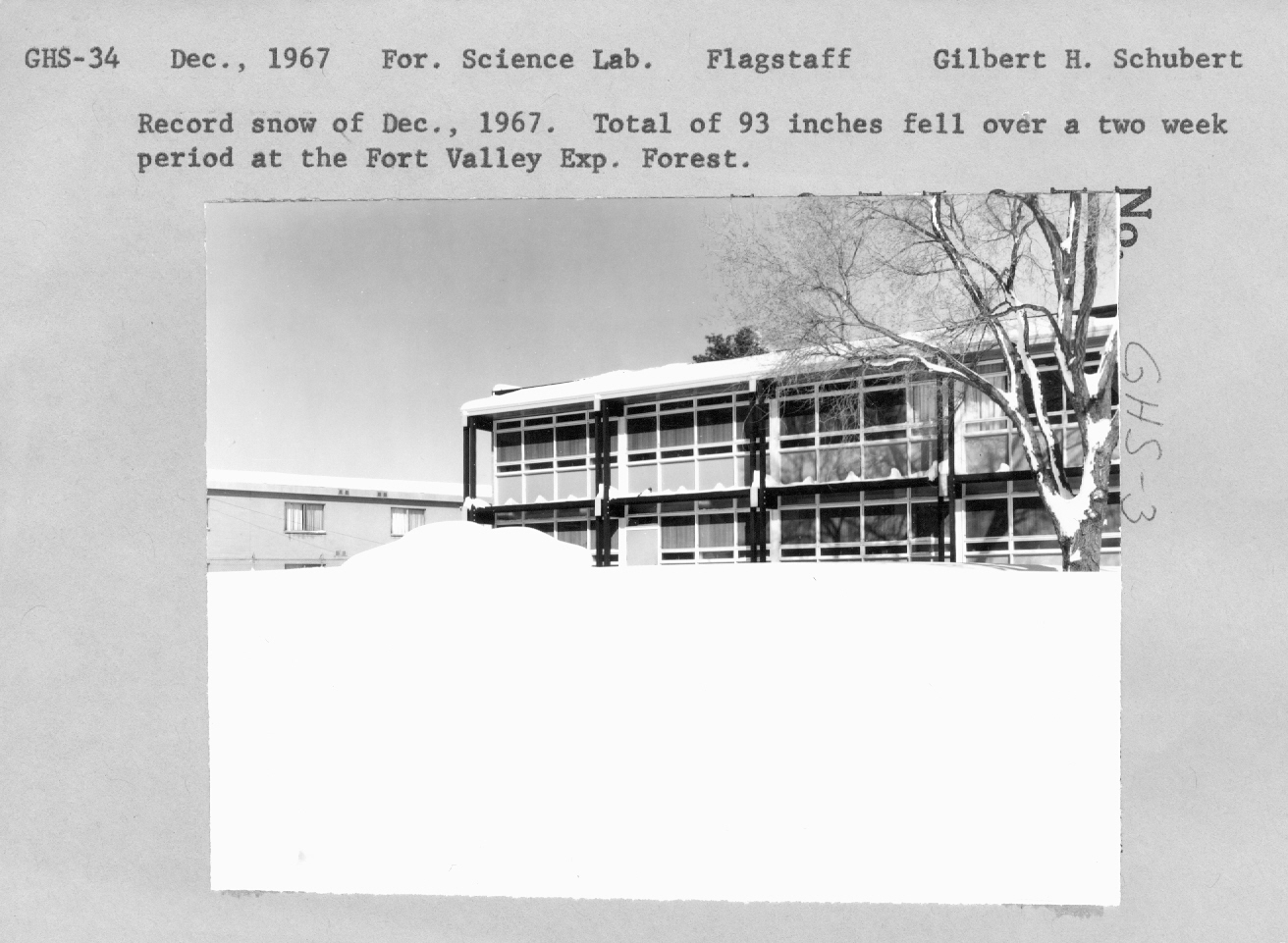 Record snow of December 1967. Total of 93 inches fell over a two week period at the Fort Valley Exp. Forest.