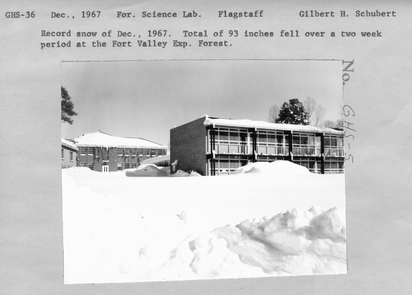 Record snow of December 1967. Total of 93 inches fell over a two week period at the Fort Valley Exp. Forest.