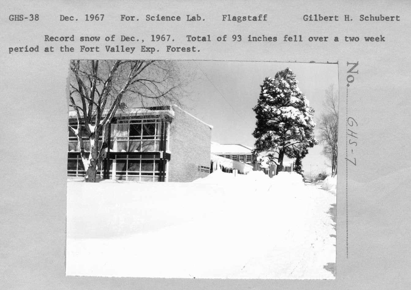Record snow of December 1967. Total of 93 inches fell over a two week period at the Fort Valley Exp. Forest.