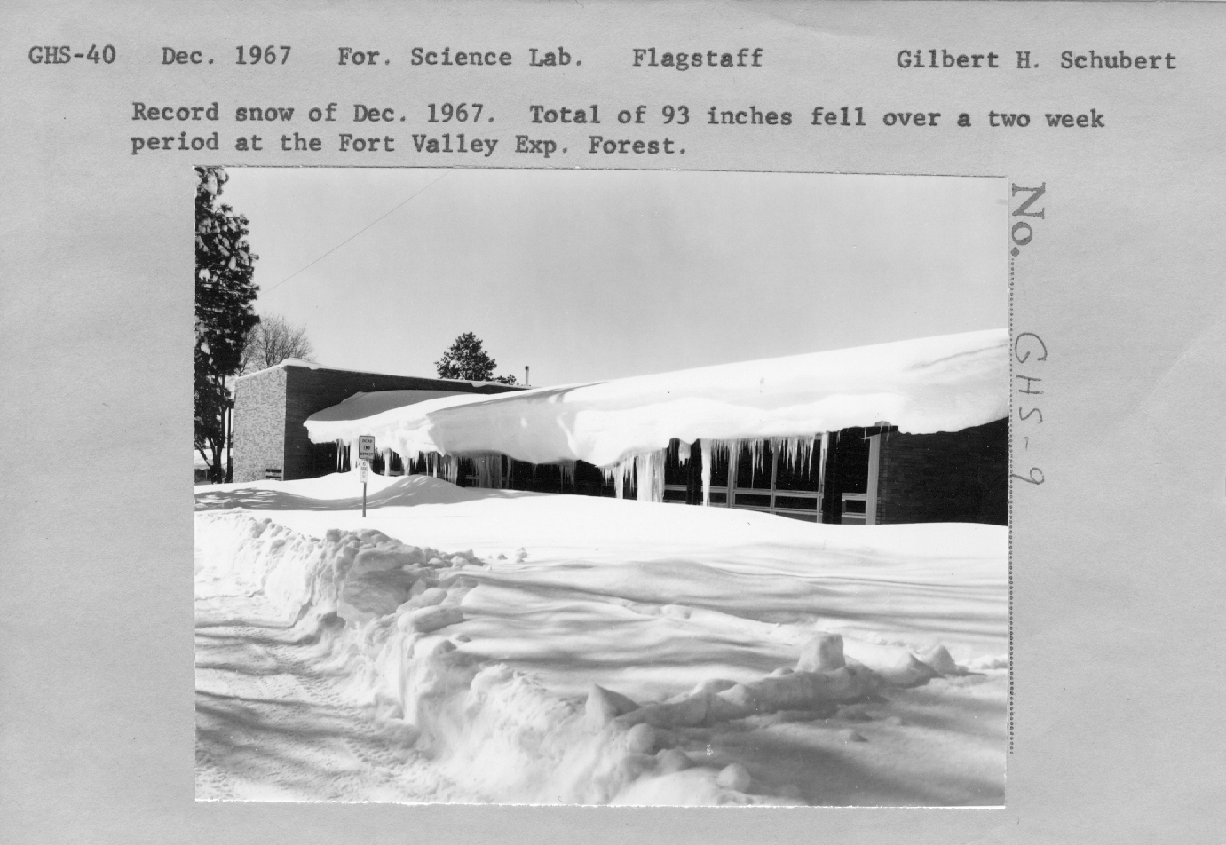 Record snow of December 1967. Total of 93 inches fell over a two week period at the Fort Valley Exp. Forest.