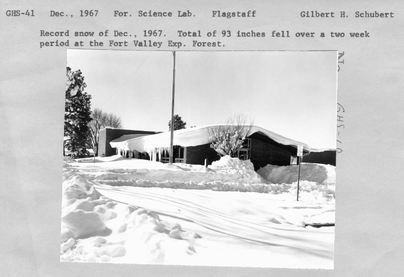 Record snow of December 1967. Total of 93 inches fell over a two week period at the Fort Valley Exp. Forest.