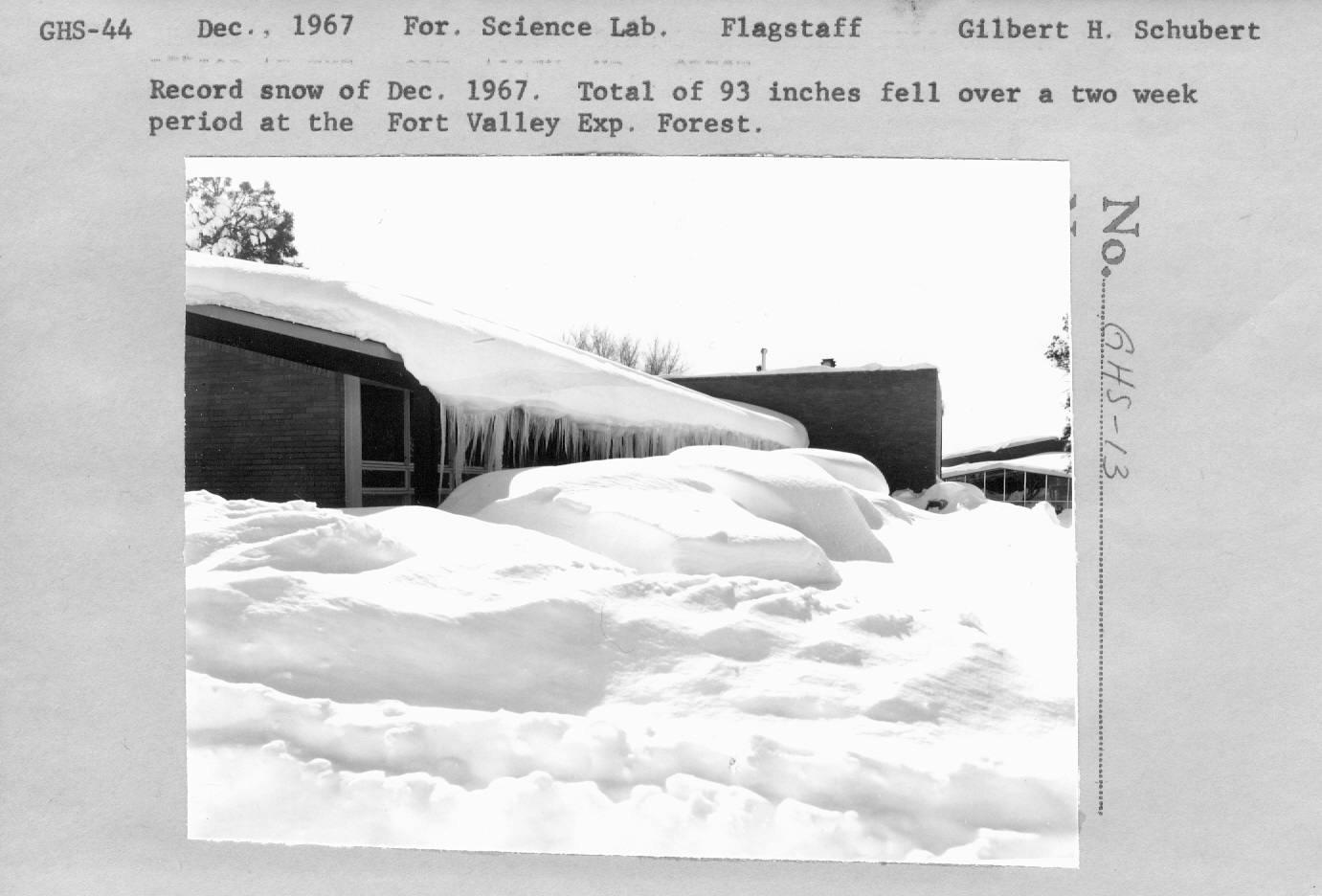 Record snow of December 1967. Total of 93 inches fell over a two week period at the Fort Valley Exp. Forest.