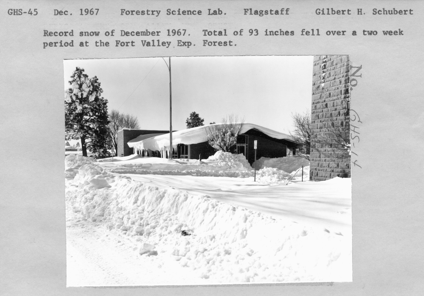 Record snow of December 1967. Total of 93 inches fell over a two week period at the Fort Valley Exp. Forest.
