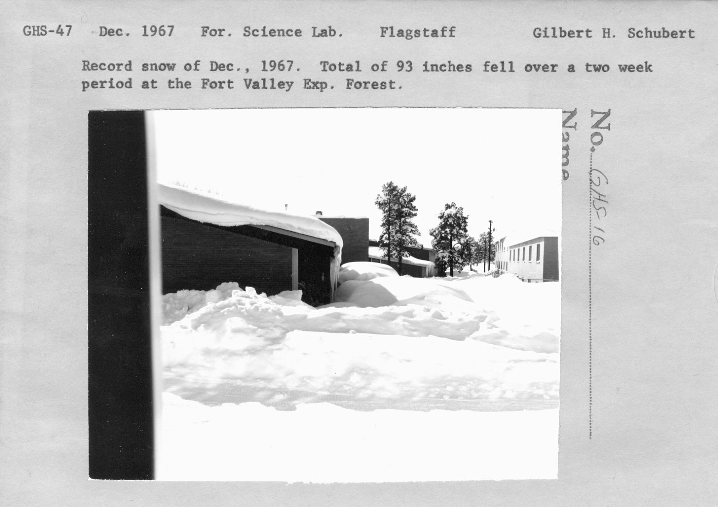 Record snow of December 1967. Total of 93 inches fell over a two week period at the Fort Valley Exp. Forest.