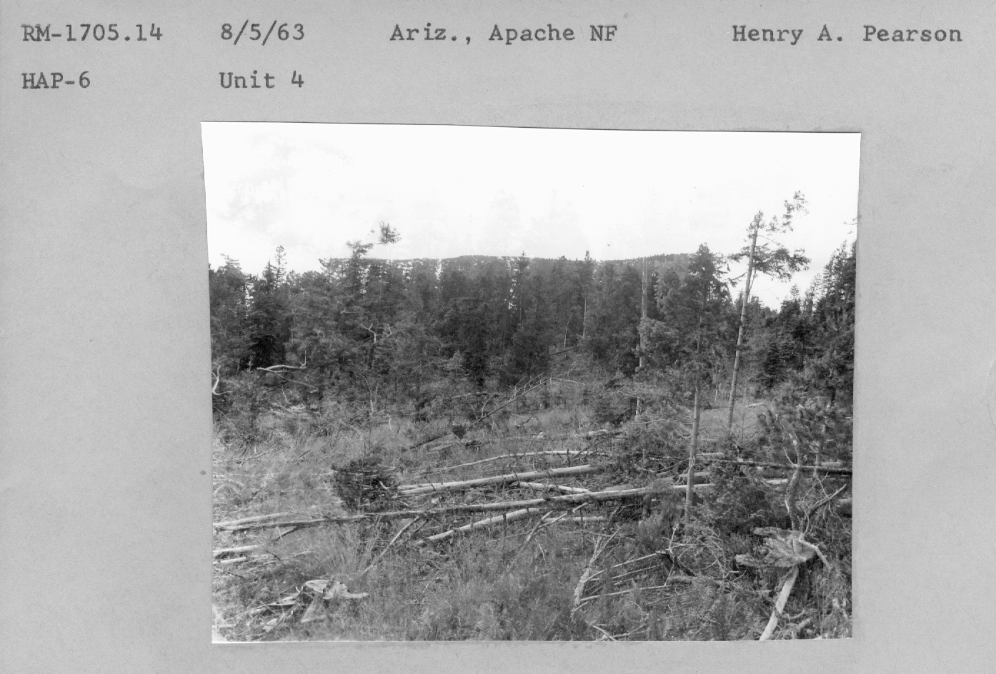 forest/range study plot